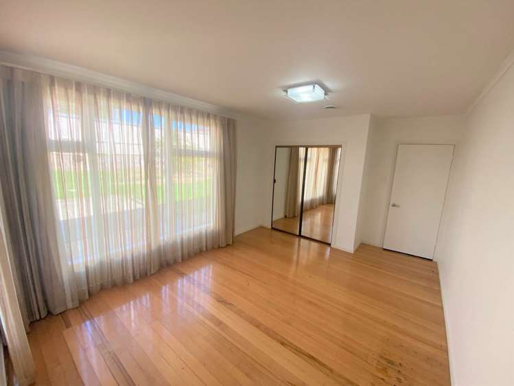 303a Hillsborough Road Hillsborough_8