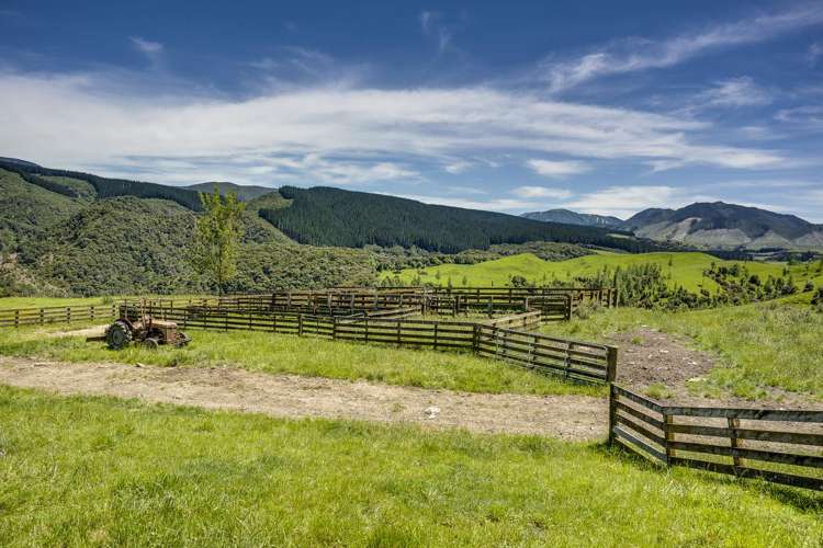 1127 Glenross Waiwhare_16