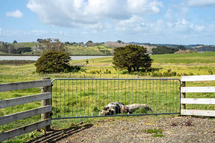 Lot 2 Minnie Casey Rise Matakohe_15