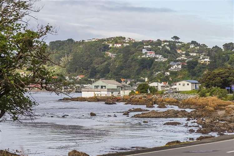 303 Karaka Bay Road Karaka Bays_41