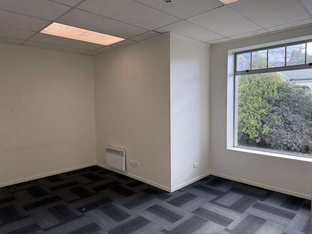 30 London Street Dunedin Central_2