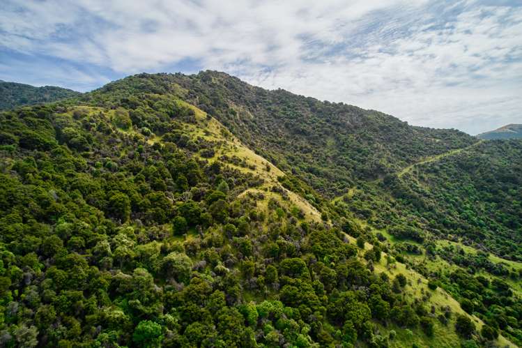 20 Moana Road Kaikoura_28