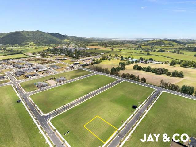 16 Tamariki Road Clevedon_1