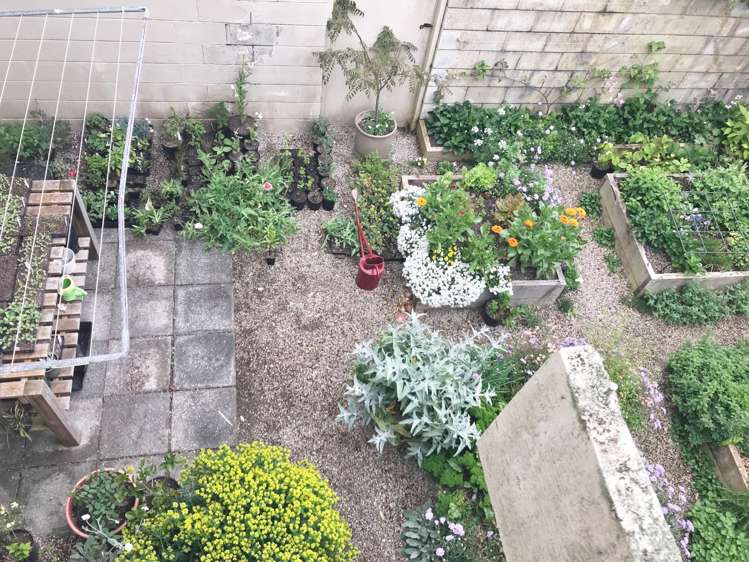 3/21 Saltburn Road Milford_15