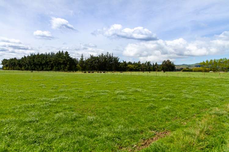 126 Whitmore Road Linton_18