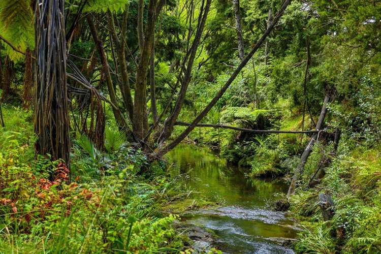 86 Upper Waiwera Road Puhoi_46