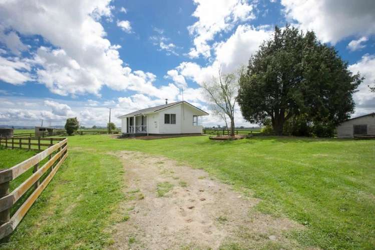 211 Shewan Road Gordonton_9