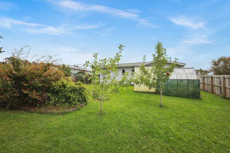 17 Kaka Street Piopio_21