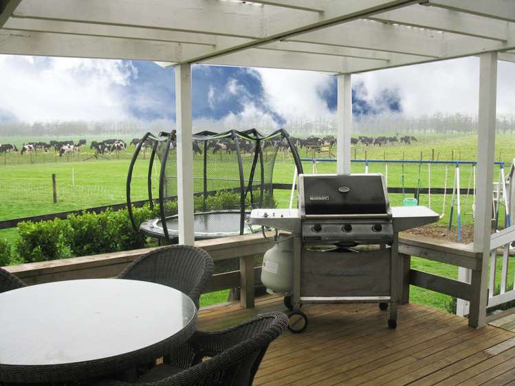 300 Shewan Road Gordonton_17