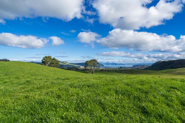 1443 Poihipi Road Oruanui_5