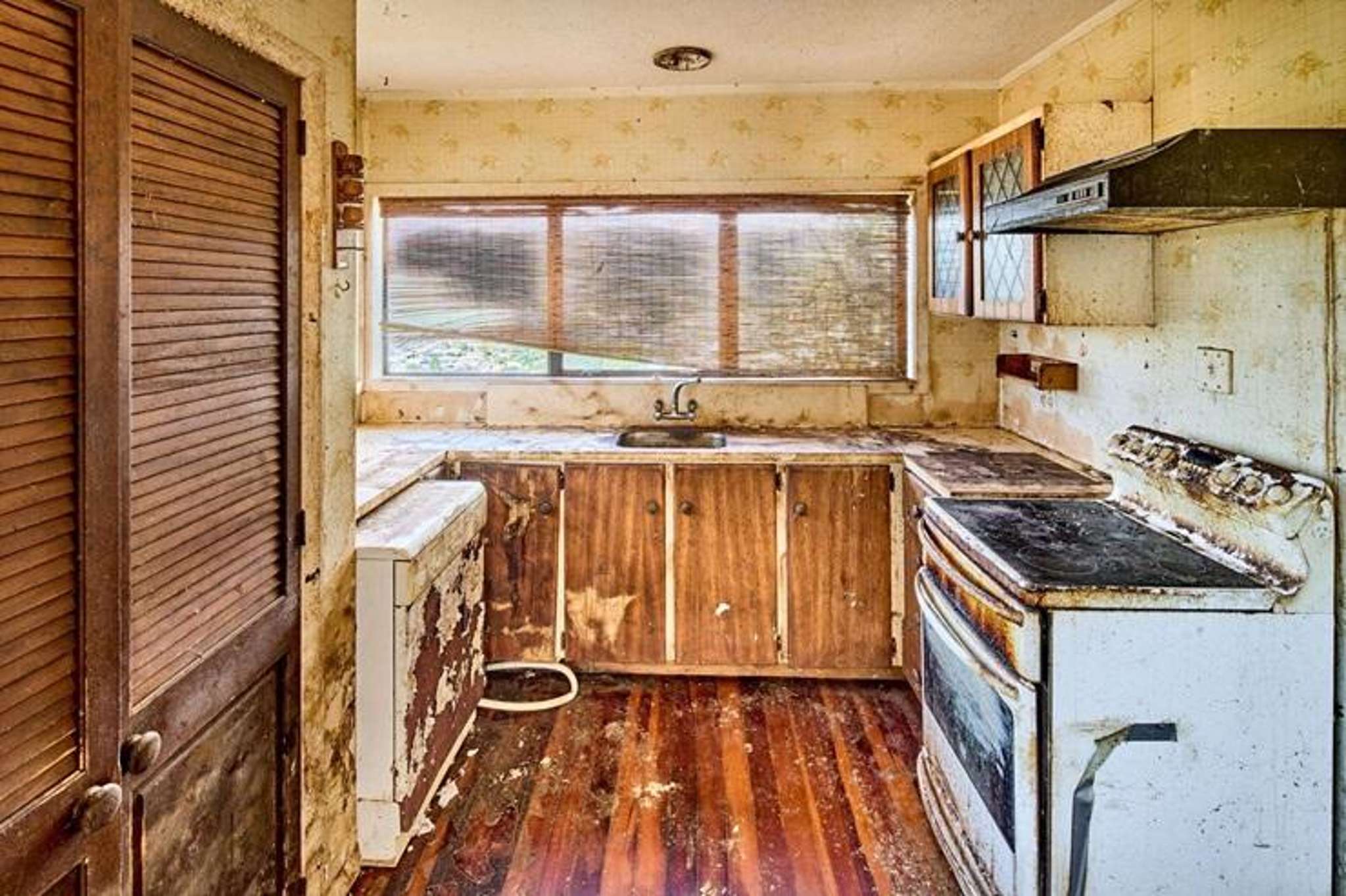 Filthy Wellington do-up up for grabs - kitchen covered in mould and grime