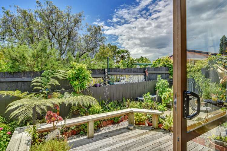 11/17 Waimea Road Nelson South_12