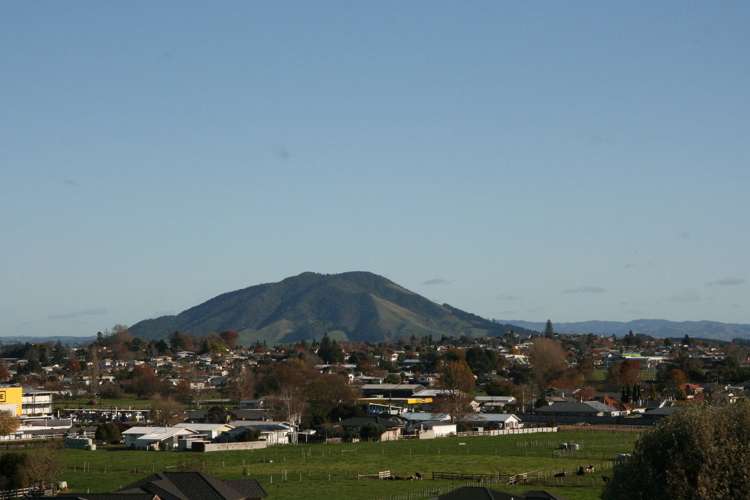 493 Picquet Hill Road Te Awamutu_16