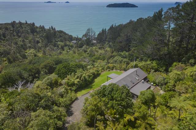 131 Pumpkin Hill Road Tairua_3