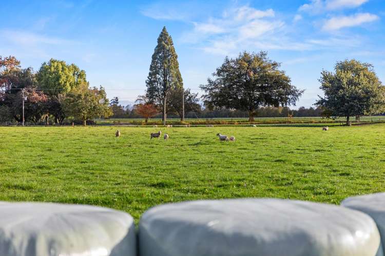 584 Orari Station Road Geraldine_30