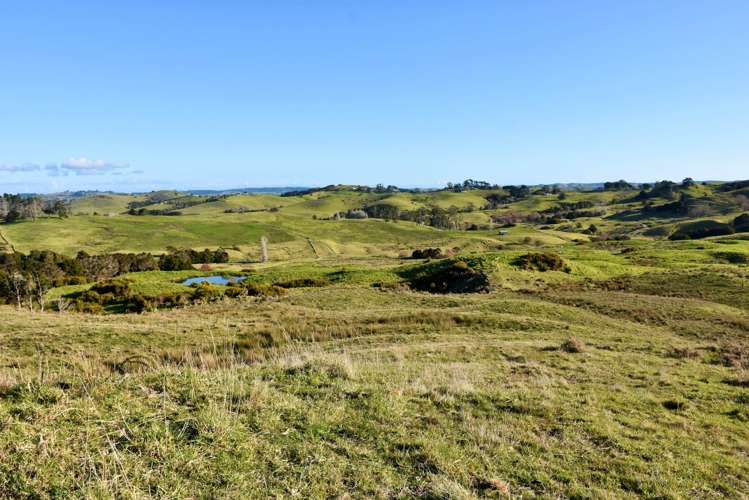 54 Syd Smith Road Oruawharo_12