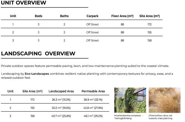 1 Palm Avenue Lyall Bay_11