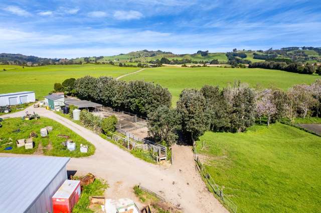 226 Pukearuhe Road Mimi_2