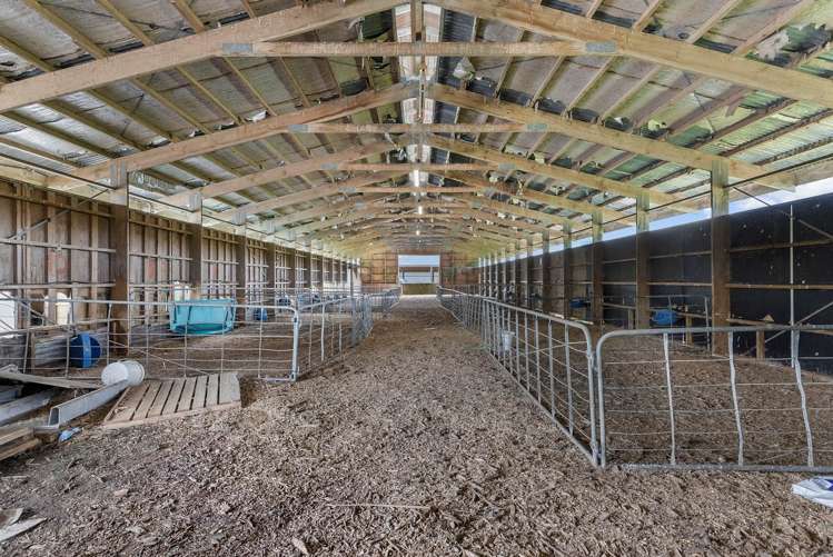 1781 Miranda Road Mangatangi_11