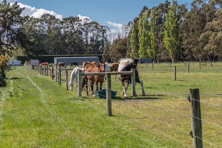 177 Selwyn Lake Road Leeston_17