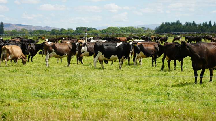 78 Cemetery Road Culverden_24