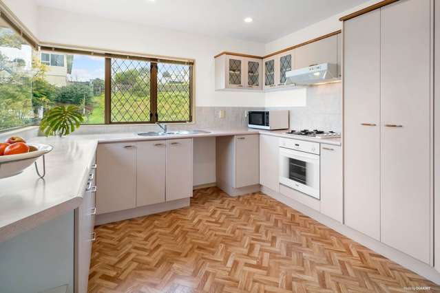 13a Drew Street Mount Roskill_2