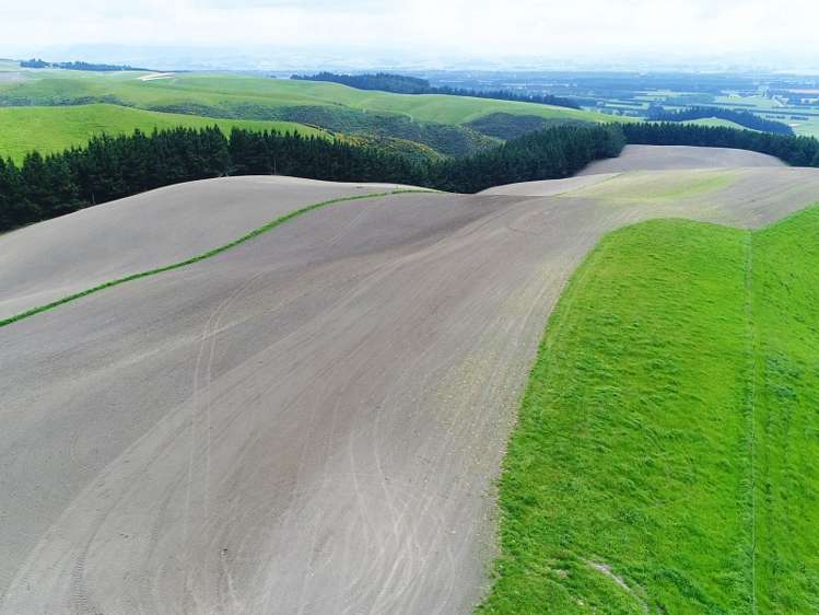 1471 Georgetown-Pukeuri Road Awamoko_9