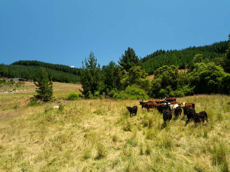 240 Teapot Valley Road Brightwater_22