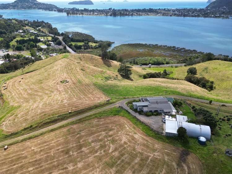 3327 Tairua Sh25 Road Pukepoto_25