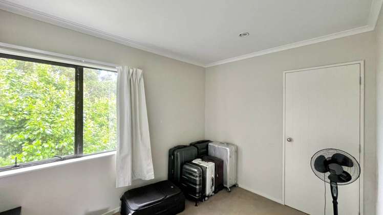33a Avondale Road Avondale_10