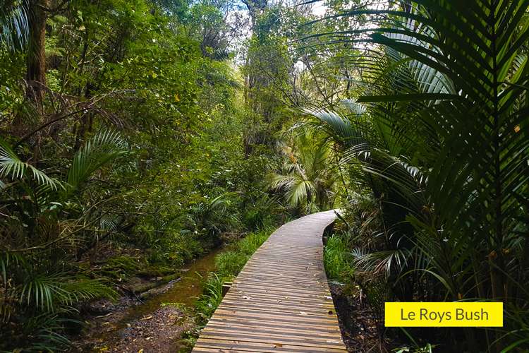 7/22a Church Street Northcote Point_12