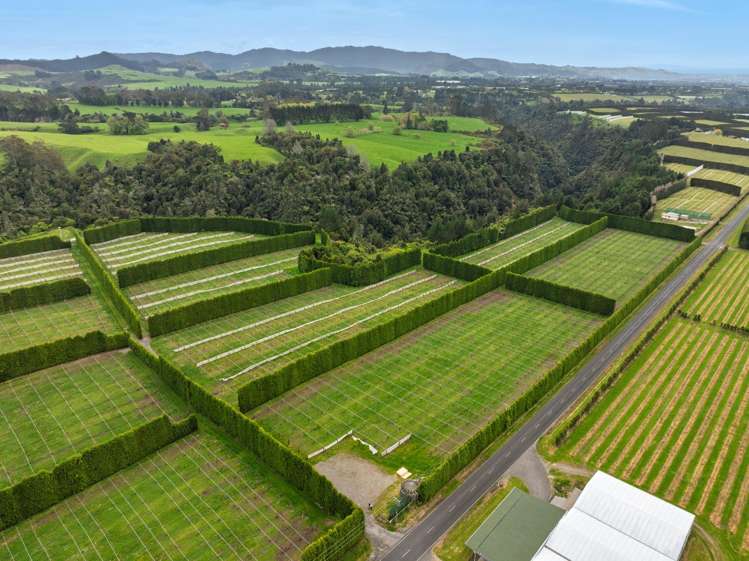 Lot 4/1010 Te Matai Road Te Ranga_7