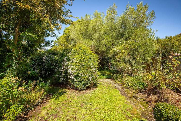 30 Beverley Hill Maori Hill_54