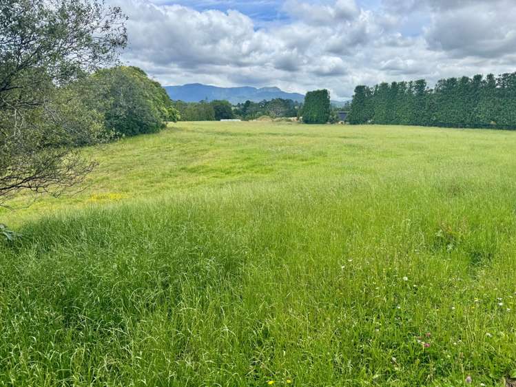 30C State Highway 2 Aongatete_8