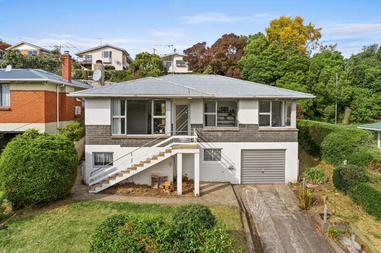 446 Pine Hill Road Pine Hill_23