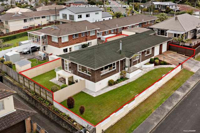 1a Budgen Street Mount Roskill_1