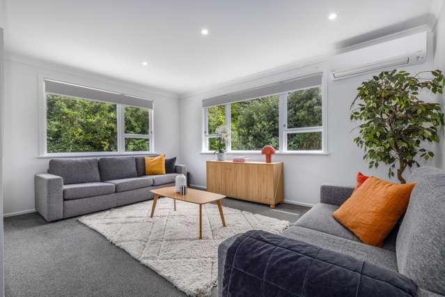 20 Mahinawa Street Takapuwahia_2