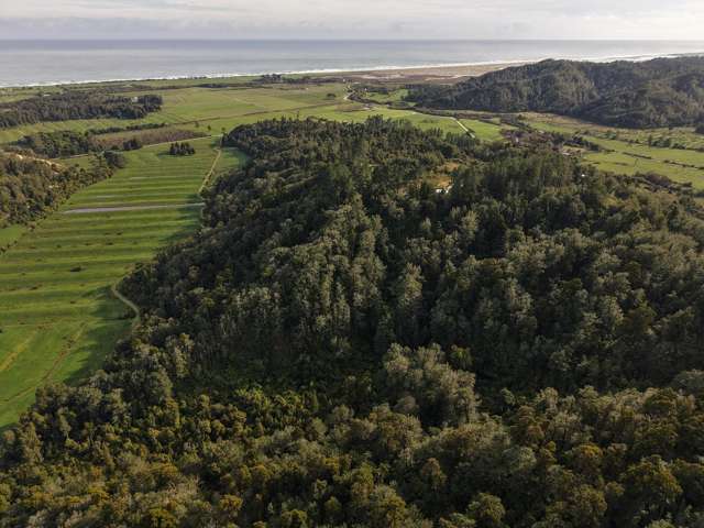 LOT 1 Granite Creek Road Karamea_1
