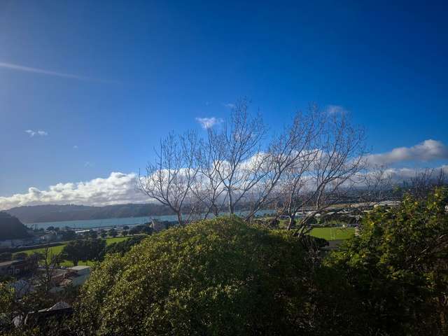 7 Crawford Road Kilbirnie_1