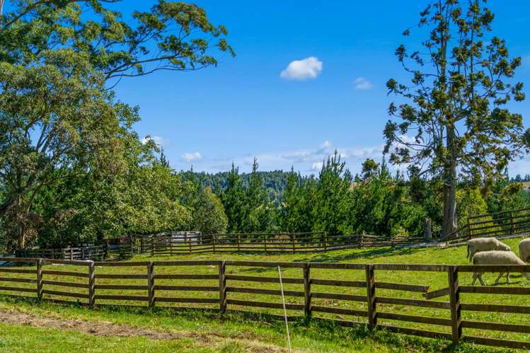 482 Ridge Road Paengaroa_26