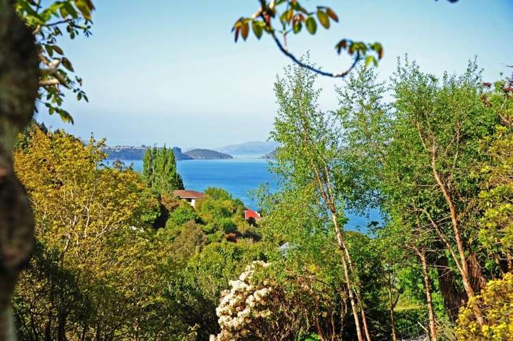 35b Kiwi Street Saint Leonards_5