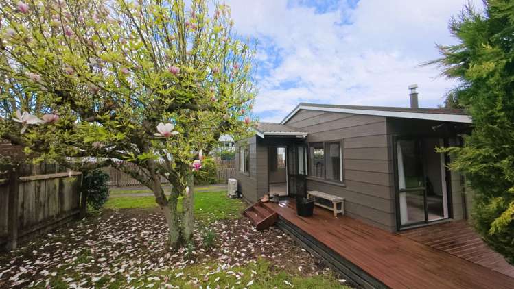 35B Tamatea Road 11209_1