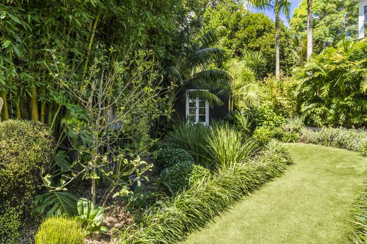 41b Selwyn Avenue Mission Bay_16