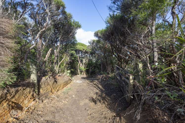 14 La Trobe Track Karekare_7