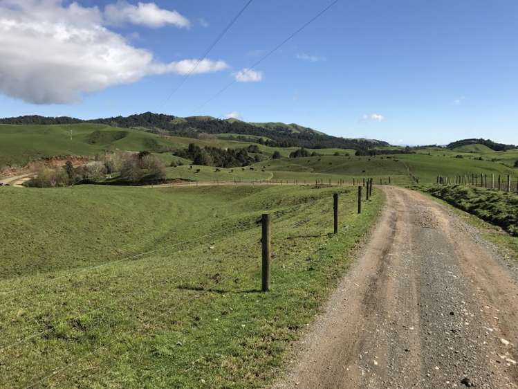 1232 Ngaroma Road Wharepuhunga_6