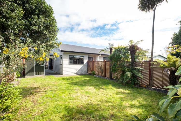 43b Murphy Road Taradale_5