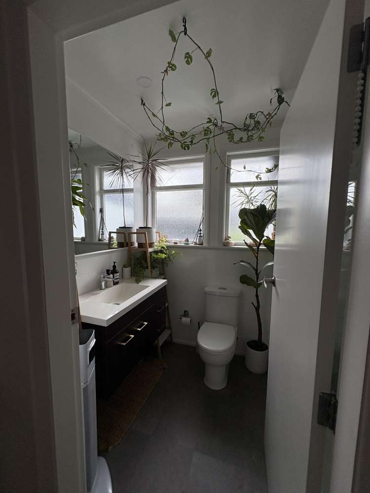 14 Kohekohe Crescent Meremere_10