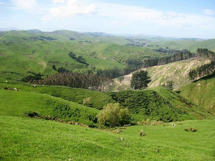 12271 Route 52 Pongaroa_8