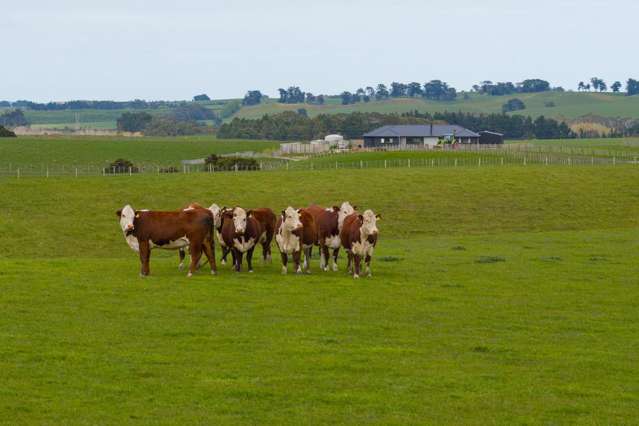 Modern Home & Close To Town on 64 Hectares