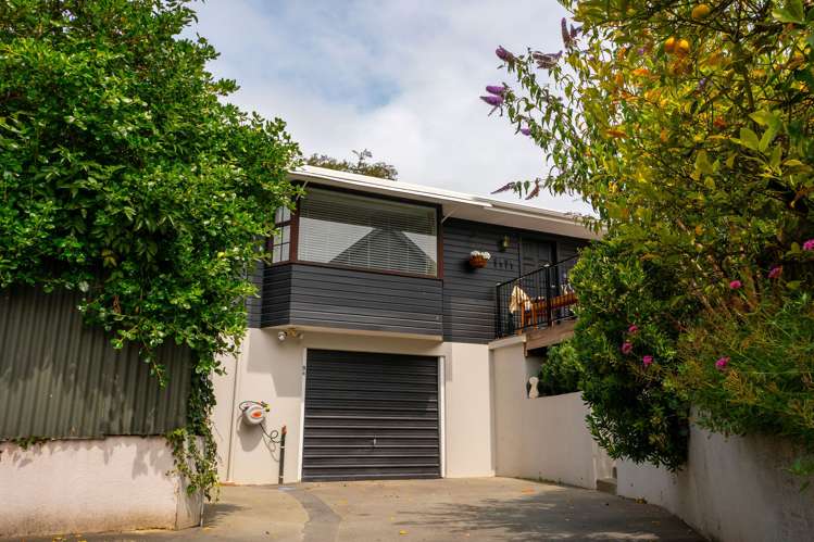 9a Campbell Street Maori Hill_39